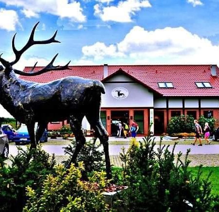 Pensjonat I Restauracja Hubertowka Milicz Exterior foto